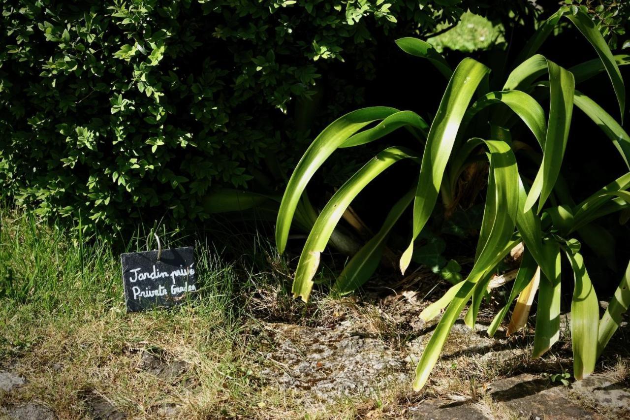 Hotel Manoir De L'Isle Ploumilliau Zewnętrze zdjęcie